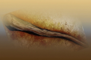 ZA&Scaron;TO JE MŪSĀ MORAO BACITI &Scaron;TAP?