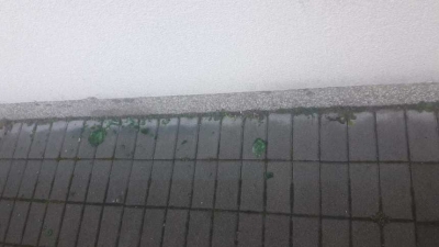 VIDEO Kiseljak: Identificirani napadači na Čar&scaron;ijsku džamiju