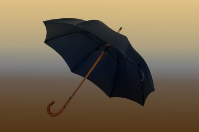 Poezija - Šefik Daupović Fiko