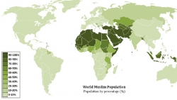 Svijet u 2016.  i stanje islamskog svijeta u njoj