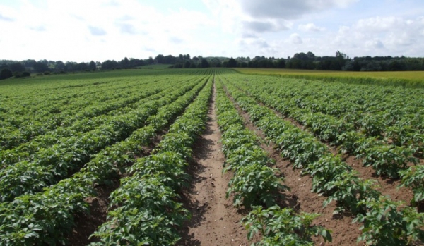 &Scaron;ta odnosi Zakon o premjeru i katastru RS-a