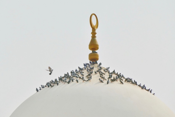 Gazzalijevi dragulji mudrosti iz Iḥja&rsquo;a