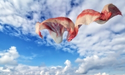 Moja prijateljica, Mahrama!