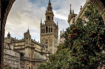 &Scaron;ta danas znači biti musliman u svijetu?