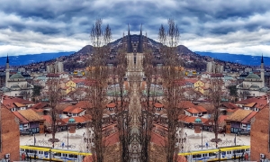 Broj muslimana u Bosni i Hercegovini