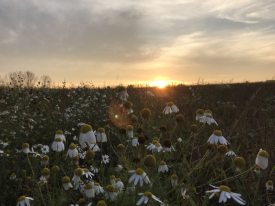 Vjernički paradoks: Srce koje strepi, ali se nada