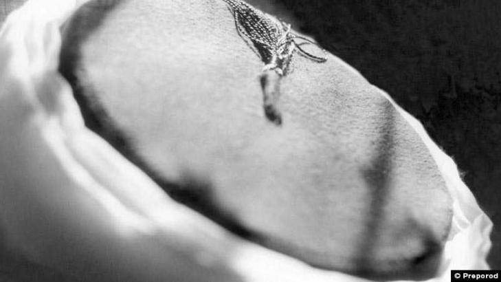 Glas imama:&nbsp;U svakoj &scaron;ali ima i &scaron;ale