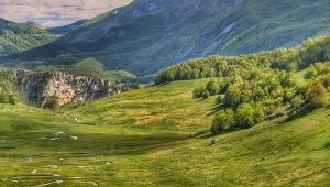 „Podaj mi Bože život bez belaja, nafaku bez harama i kabur bez azaba“